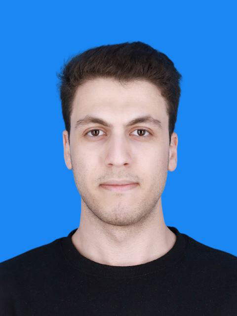 Mohammad Karimi Portfolio, محمد کریمی